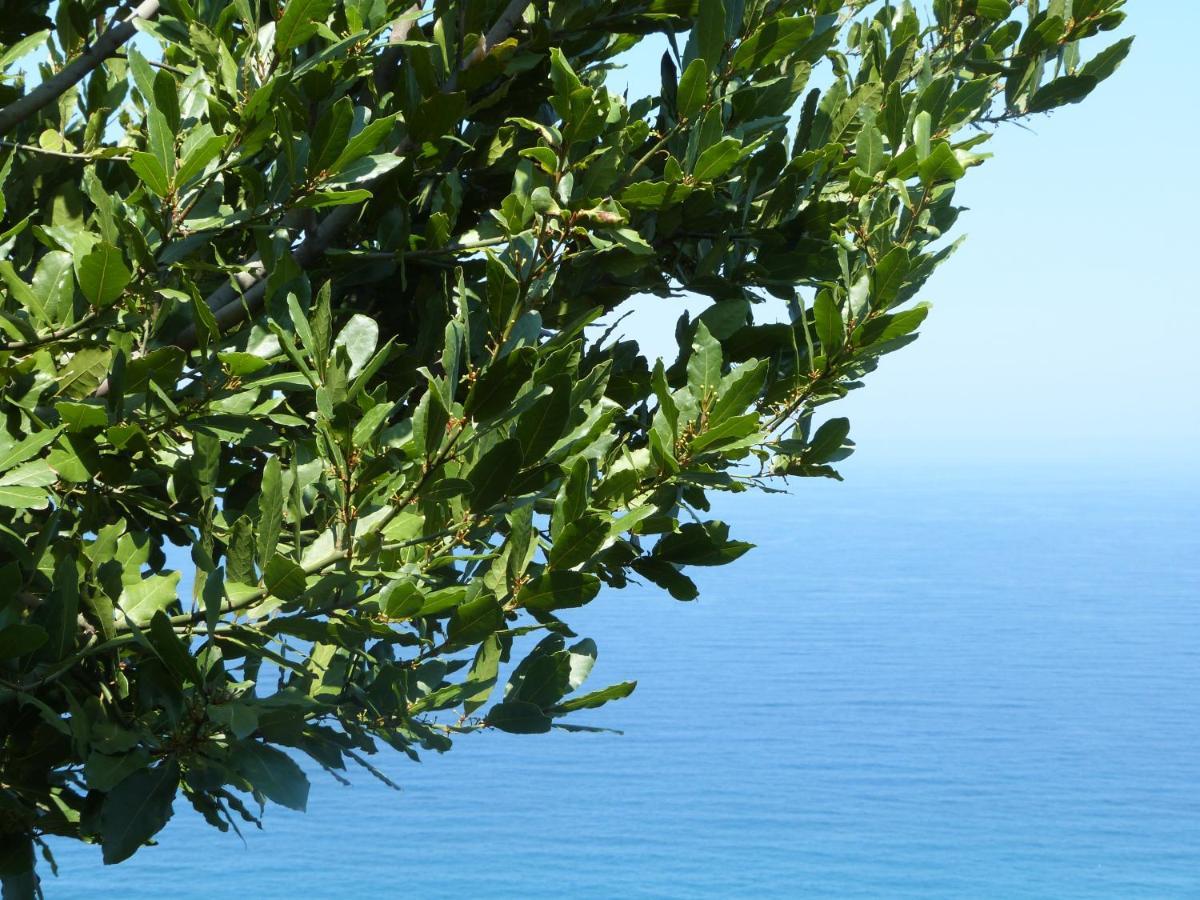 Вилла Balcony On The Rocks Agioi Saranta Экстерьер фото